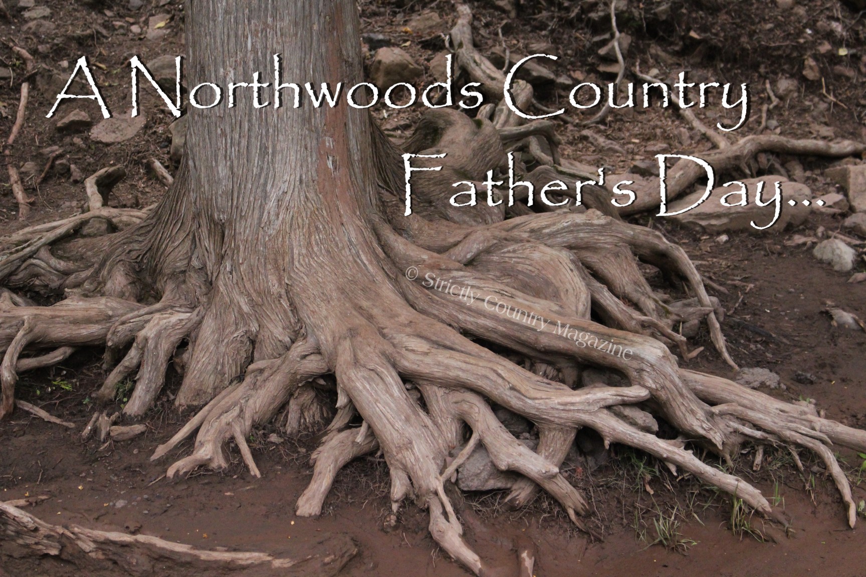 Strictly Country Magazine copyright A Northwoods Country Father's Day title